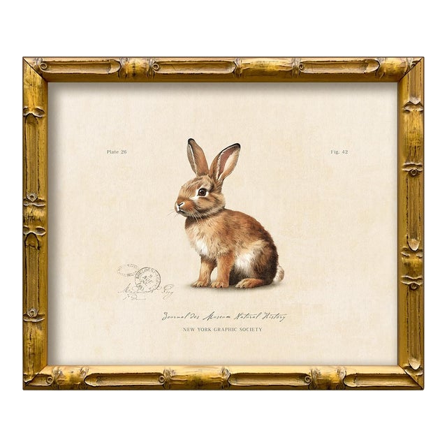 Reproduction Vintage "Garden Friends" Art Print (10), Framed Bunny For Sale