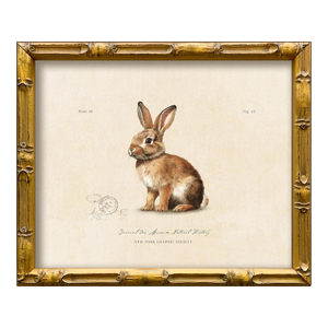 Reproduction Vintage "Garden Friends" Art Print (10), Framed Bunny