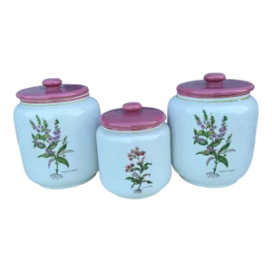 Mid Century Modern Rosenthal Netter Botanical Canisters- Set of 3