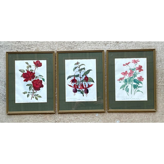 Mid 20th Century Vintage Botanical Floral Prints in Gilt Frames - Set of 3 For Sale - Image 5 of 16