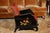 1920s 1920s Pair of Hand-Painted Chinoiserie Armchairs For Sale - Image 5 of 7