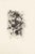 Fruit is a black and white etching realized by the French artist Michel Ciry in 1964. Signed and dated on the lower right....