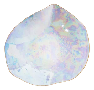 Dinner Plates by Sarah-Linda Forrer, Set of 2