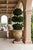 Vintage Italian Neoclassical Style Terracotta Garden Planter With Caryatid Reliefs For Sale - Image 12 of 12