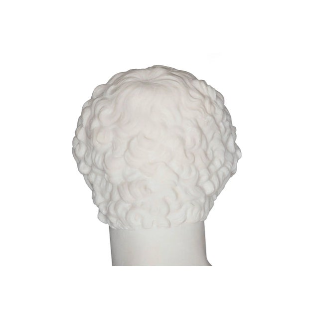Grand Tour 19th Century Marble Bust of Antinous as Hermes by Filli Pugi For Sale - Image 11 of 12