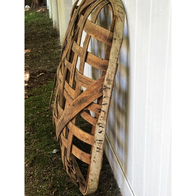 Antique Owensboro Kentucky Tobacco Basket Chairish