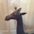 Metal 70’s Brass Giraffe Large 32.5" For Sale - Image 7 of 12