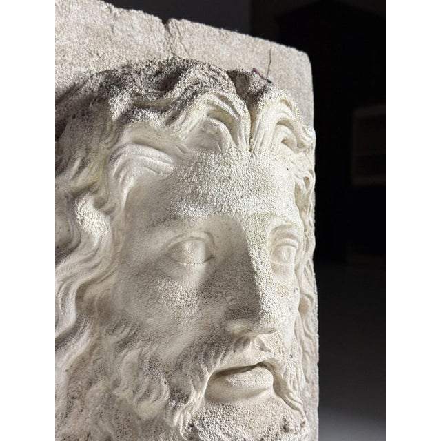 Vintage Cast Stone Asclepius For Sale - Image 18 of 18