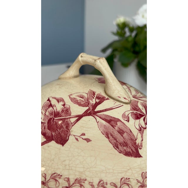 Red Ironstone Tureen with Honeysuckle Pattern from Gien Factory, 1890s For Sale - Image 5 of 13
