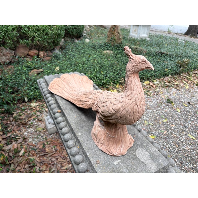 Vintage Italian Terracotta Peacock Sculpture For Sale - Image 11 of 12