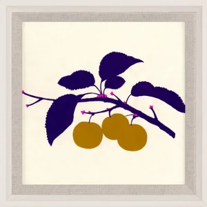Bright Pomona Fruit 3, Framed Artwork
