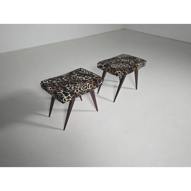 Mid-Century Italian Benches or Stools in Leopard Velvet, 1950s, Set of 2 For Sale - Image 4 of 6