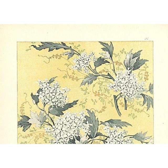 This is a Beaux Arts, Art Nouveau c1900 decorative botanical design chromolithograph by the famed French designer and...