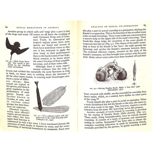 "Social Behaviour in Animals With Special Reference to Vertebrates" 1965 Tinbergen, N. For Sale In New York - Image 6 of 11