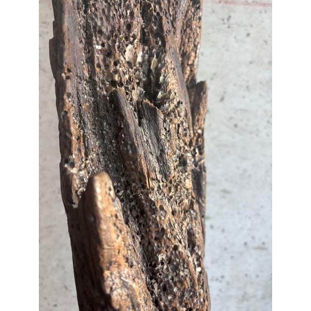 Monumental Organic Coastal Vintage Driftwood Sculpture on Coral Stone Base For Sale - Image 4 of 9