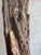Monumental Organic Coastal Vintage Driftwood Sculpture on Coral Stone Base For Sale - Image 4 of 9