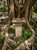 English Regency Style Weathered Cast Stone Birdbath With Celtic Knot Pedestal For Sale - Image 10 of 10