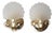 Shell Wall Lamps from Deknudt, Belgium, 1980s, Set of 2 For Sale