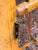 Vintage Burnt Bamboo Folding Shelf For Sale - Image 13 of 14