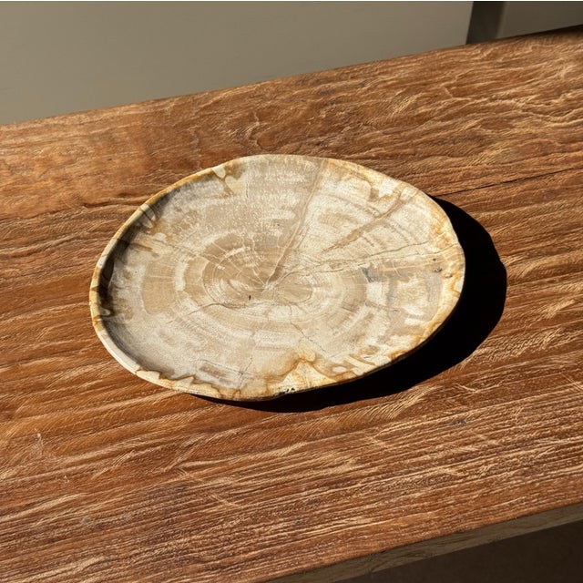 Small Oval Beige Petrified Wood Trinket Dish or Tray with Speckled Rings For Sale - Image 15 of 18