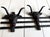 Rustic Vintage Western Long Horn Bull Iron Wall Coat Rack For Sale - Image 3 of 6