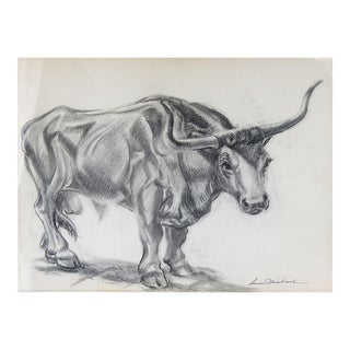 Vintage Mid Century Texas Longhorn Bull Charcoal Drawing For Sale