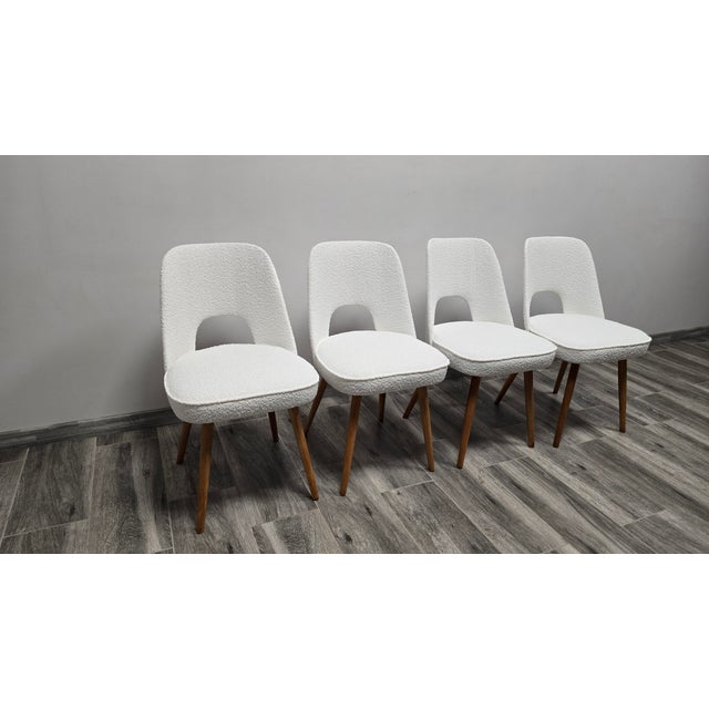 1950s Dining Chairs by Oswald Haerdtl for Ton, 1950s, Set of 4 For Sale - Image 5 of 9