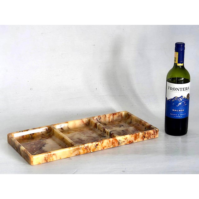 Mid 20th Century Faux Onyx Resin Partitioned Tray For Sale In Miami - Image 6 of 13