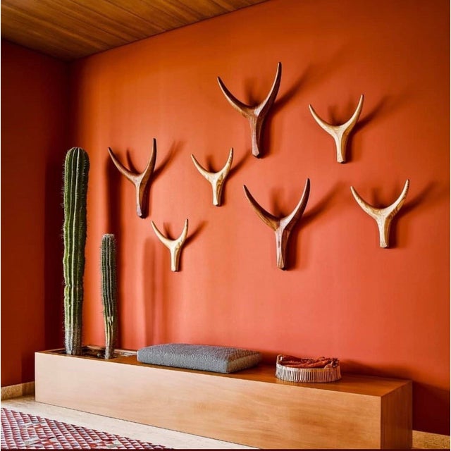 2020s Medium Nguni Head Black Iroko, Animal Head Wall Sculpture, Clear / Natural For Sale - Image 5 of 9