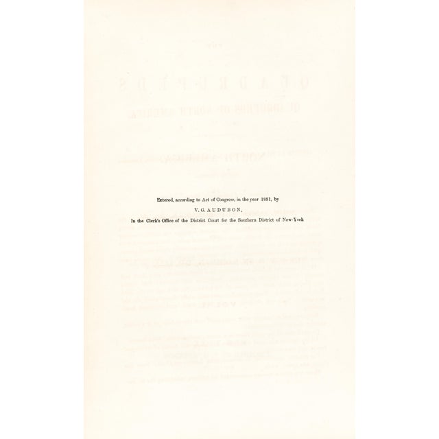 John James Audubon 1851 Audubon Quadruped Octavo Lithograph "Plate 57 American Bison or Buffalo" For Sale - Image 4 of 4