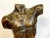 French modern bronzed plaster sculpture of a male nude torso, possibly a Maquette. Unsigned. A bold, well modeled...