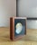Ivory Framed Nautilus Shell For Sale - Image 8 of 15