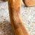 Round Mid-Century Danish Style Warm Wood Dining Table For Sale - Image 11 of 14