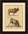 Indian Zebu Bull and Extinct Aurochs Natural History Lithograph, 1816 This original hand-colored lithograph depicts two...