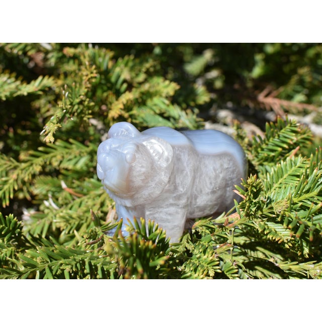 Agate Bear 1 For Sale - Image 17 of 17