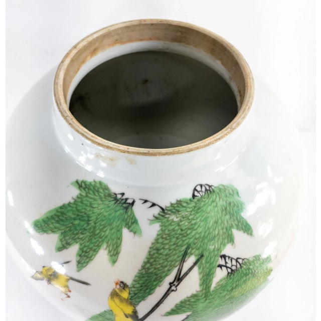 20th Century Chinese Decorative Chinoiserie Ginger Jar With Birds For Sale - Image 11 of 13