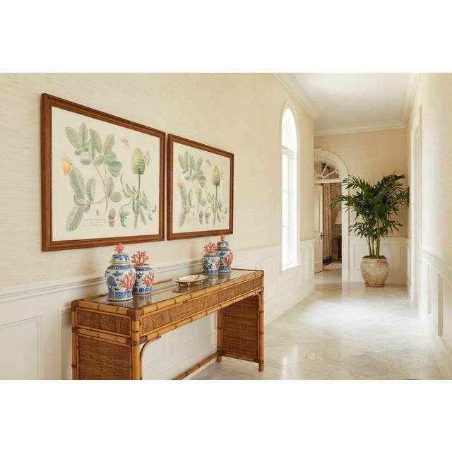 Wood Pair of Vintage Botanical & Entomological Framed Art Prints For Sale - Image 7 of 12