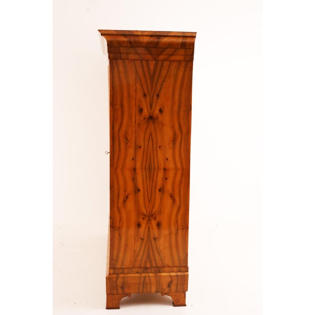 Biedermeier Hall Cabinet in Walnut, 1820 For Sale - Image 4 of 8