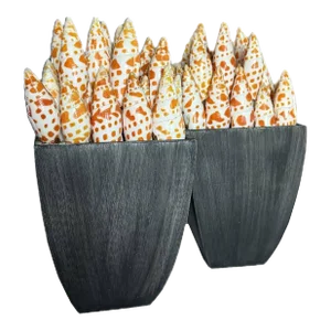 Pair of Mitra Mitra Shell Vases – Coastal Nautical Decor