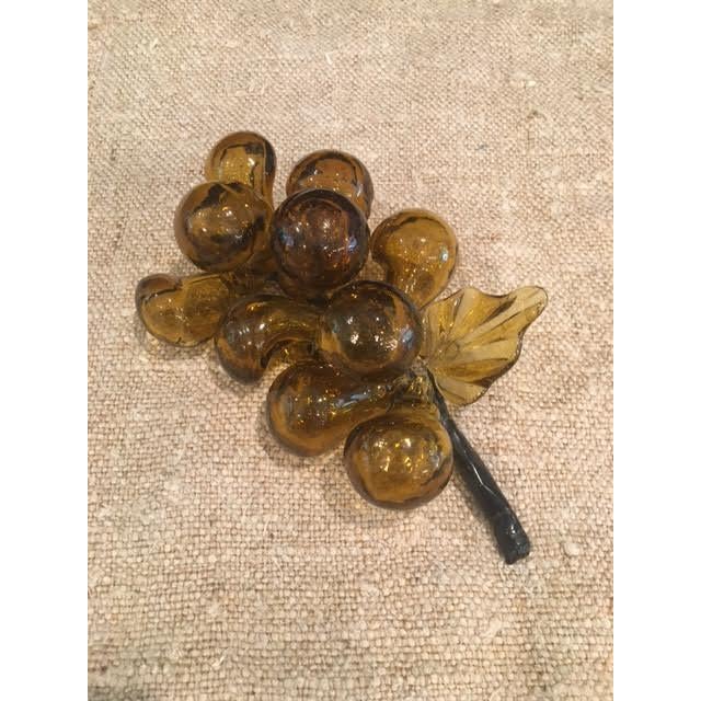 Mid-Century Modern Amber Murano Style Glass Grape Cluster For Sale - Image 3 of 8