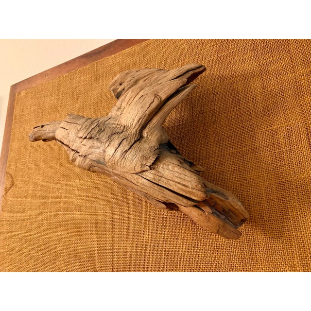 Brown Vintage California Driftwood Sculpture Art For Sale - Image 8 of 13