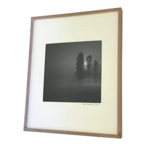 Vintage Richard D’Amore Black and White Landscape Signed Photograph