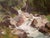 Heinrich Deuchert, Mountain Stream in the Alps, 1900s, Oil Painting on Canvas, Framed For Sale - Image 12 of 15