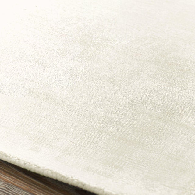 Milan Distressed Ivory Rug - 2 X 3 For Sale - Image 4 of 5