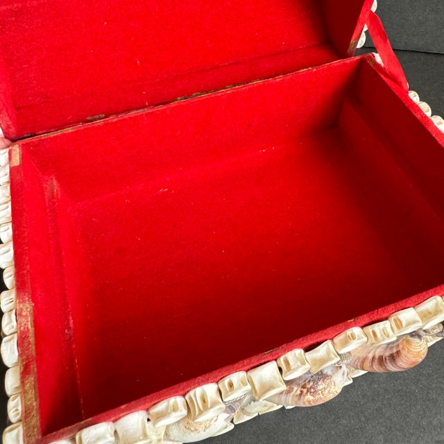 Vintage Seashell Jewelry Box Shell Encrusted Domed Trinket Box For Sale - Image 10 of 12