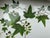 1990s Vintage White Faux Wicker Green Ivy Vine Serving Tray For Sale - Image 5 of 18
