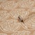 Schumacher Sample - Schumacher Ramsgate Wallcovering In Tan For Sale - Image 4 of 6