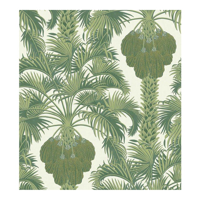 Hollywood Palm Wallpaper by Cole & Son Chairish