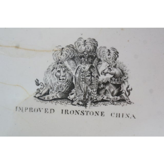 Antique Stephan Folch Ironstone Imari Bamboo & Basket China Serving Platters - Set of 3 For Sale - Image 13 of 16