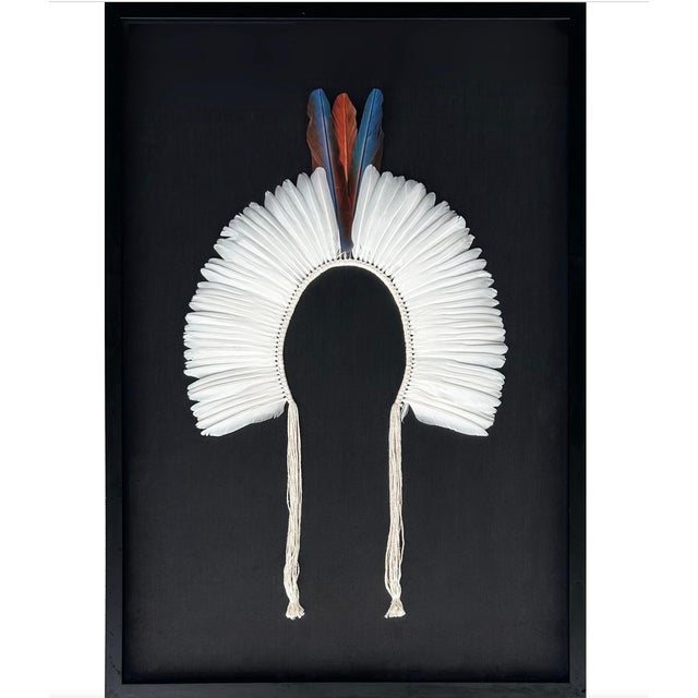 Wood Brazilian Kayapó Wall Decor | Amazon Indigenous Feather Headdress 'Cocar' For Sale - Image 7 of 11